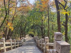 -灵岩山风景区