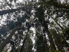 -井冈山风景名胜区
