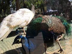 -陕西自然博物馆