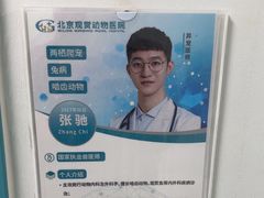 -北京观赏动物医院·24小时大型综合·猫专科·异宠专科