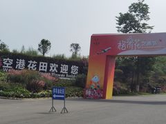 -空港花田景区