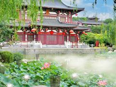 -华清宫景区