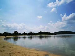 -上海月湖雕塑公园