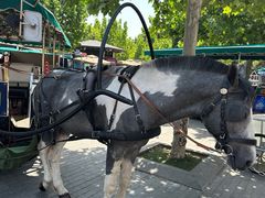 -天津五大道文化旅游区