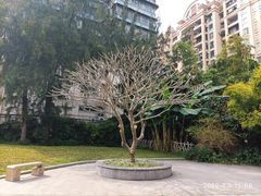 -晓港公园