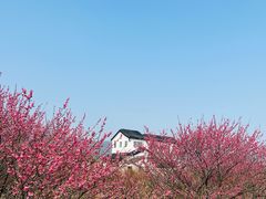 -西山风景区