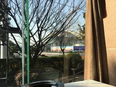 -金陵之星大酒店·中餐厅