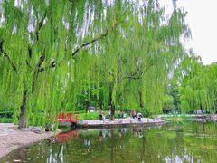 -玲珑塔公园