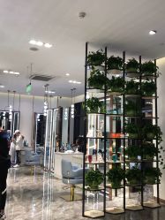 -MY WAY SALON