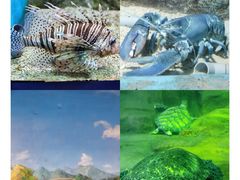 -大连老虎滩海洋公园