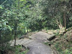 -火炉山森林公园