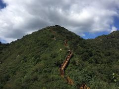 -大岭沟猕猴桃谷风景区