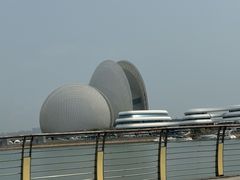 -野狸岛
