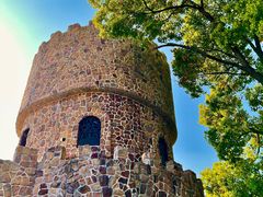 景观位-J Create城市露营咖啡·简餐·宠物(上海动物园店)