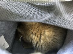 -美联众合24小时·皮肤科·外科·全科诊疗中心(华苑分院)