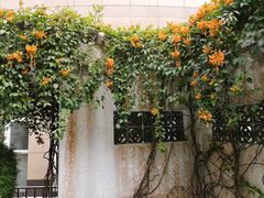 -广东温泉宾馆