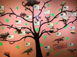 -酷嗒动物文化乐园(cutezoo西溪乐天城店)