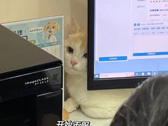 -瑞派中心宠物医院·CT·核磁·神经专科