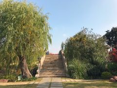 -上海财经大学-新食堂