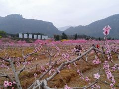 -窦圌山风景区