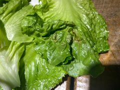 -福宝漠北·牛羊肉(广埠屯店)
