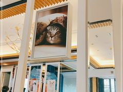 大堂-猫先生时尚火锅(桂平路店)