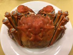 清蒸大闸蟹-王宝和酒家(黄浦店)