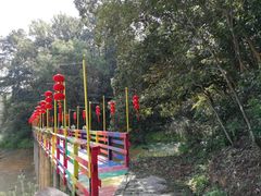-千岛湖龙川湾