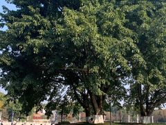 -西南政法大学(渝北校区)