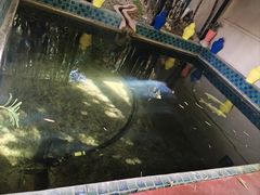 -马洛雷勒花园