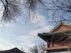 -潭柘寺景区