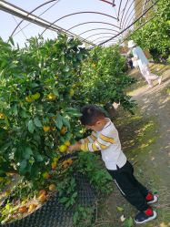 -前小桔亲子创意农场·草莓采摘·露营烧烤