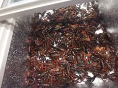 -蛙太牛牛肉海鲜自助火锅(台江万达店)