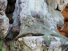 -黔灵山公园