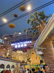 -卡通尼·Safari非洲探索乐园·生日会(金桥国际商业广场店)