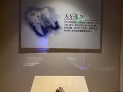 -咸宁市博物馆