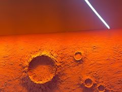 -胖子烧烤海鲜(亲贤北街店)