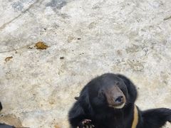 -青峰峡国家森林公园