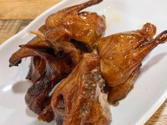 -东鸽皇(奥园·中环广场店)