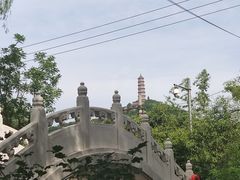 -北坞公园