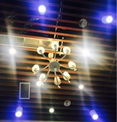 -SIX Hair Consultant