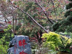 -上海醉白池公园