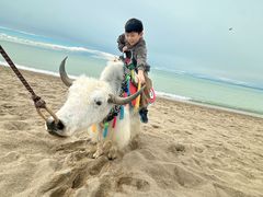 -青海湖国家重点风景名胜区