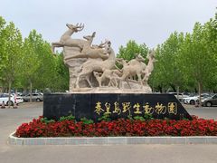 -秦皇岛野生动物园