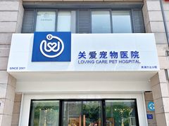 -关爱宠物医院·猫科中心·消化科(滨湖万达分院)