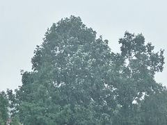 -上海玛雅海滩水公园