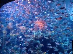 -成都浩海立方海洋公园