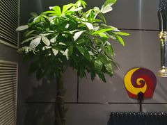 -瑞膳首尔参鸡汤(龙塔店)