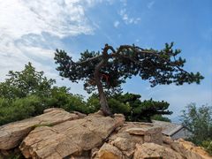 -天津盘山风景名胜区
