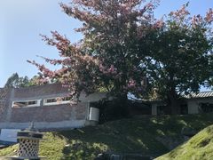 -凤阁楼果木烧鹅(鹤山陈山店)